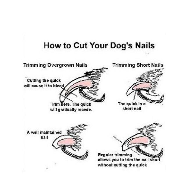 Claw-Cutting-Instructions - Pikku Gifts
