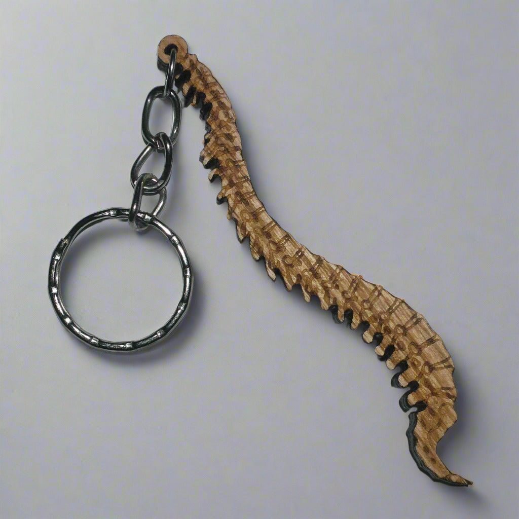 Human-spine-keyring-wooden - Pikku Gifts
