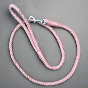 Leashes & Collars