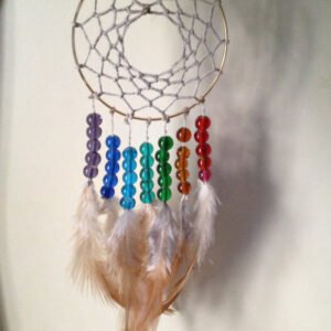 Colorful Beaded Dream Catcher – 4.5 Inch Ring with Feather Tassels