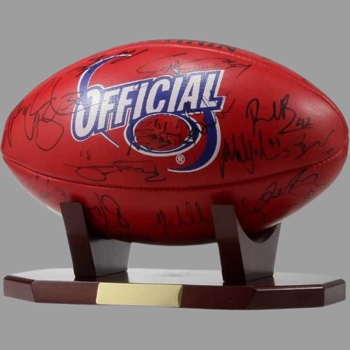 Rugby Trophy real rugby ball - Pikku Gifts